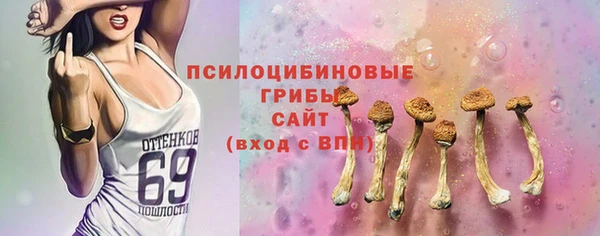 стафф Богданович